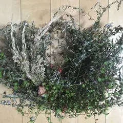 よもぎリース　南天　タグ付き　横30センチ