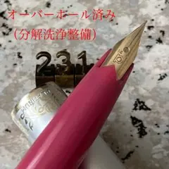 0055 未使用品 万年筆 PILOT ショート14k - メルカリ