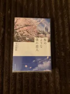 桜のような僕の恋人 宇山佳佑 集英社文庫