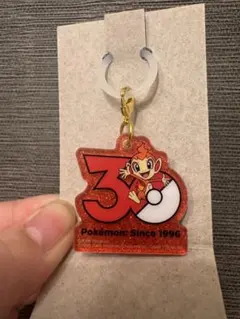 ポケチャーム ポケモン 30周年 アクリルキーホルダー ヒコザル