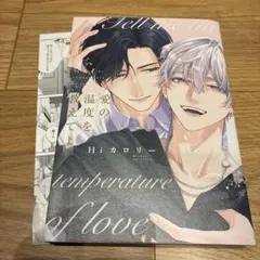 hiカロリー ボーイズラブ