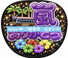 miyu︎︎ ❤︎¨̮⑅*様専用　おまとめ