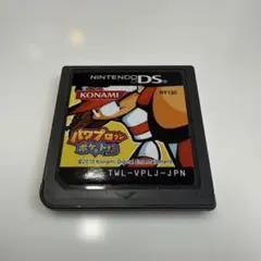 パワプロクンポケット13 ニンテンドーDS