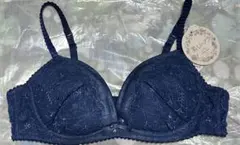 新品チュチュアンナ ブラジャーD70