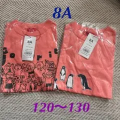 OJICO Tシャツ2枚セット 送料込み 新品未開封