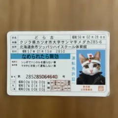 Item thumbnail for item 0b98c4ee-5c3b-4b96-9d61-56670378798c