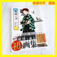 2026年最新】鬼滅の刃 初版の人気アイテム - メルカリ