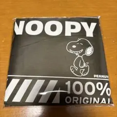 Item thumbnail for item 07955841-dd77-4ff9-8ad3-b98dfebb2232