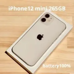iPhone12 mini 256GB SIMフリー　バッテリー新品