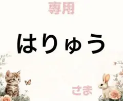 専用