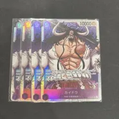カイドウ×4枚セット