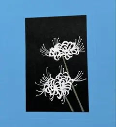 安田靫彦　彩色画　紙本　筍之図　　掛軸一幅　　肉筆画　　落款印譜　模写　NO45 安田靫彦 彩色画 紙本 筍之図 掛軸一幅 肉筆画 落款印譜