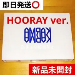 新品未開封 straykids CD karma アルバム HOORAY