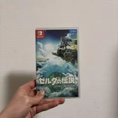 ゼルダの伝説 ティアーズ・オブ・ザ・キングダム　ケース付き