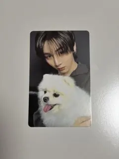 ボネクド テサン weverse global トレカ チャンイ