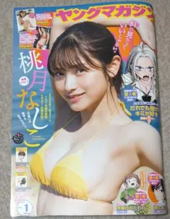 あきーら様 リクエスト 2点 まとめ商品