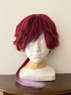 ローレン・イロアス コスプレ セット済みウィッグ - メルカリ