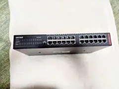 BS-GU2024 Buffalo
