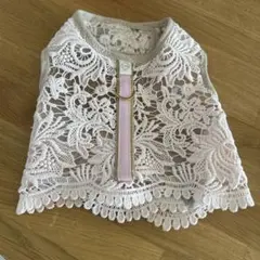 Item thumbnail for item c4a10663-cf41-48f1-8638-31f74b348561