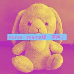 おすそ分けファイル&窓付き平袋セット