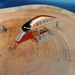 Item thumbnail for item 6a99c52f-2ba7-4115-af87-7dd70ad95da1