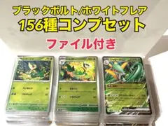 ブラックボルト/ホワイトフレア ポケモン156種モンボコンプリートセット