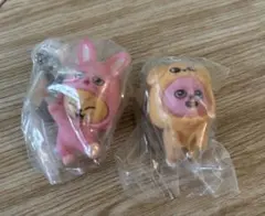 スキズSKZOO トゥエッキ　パピーム