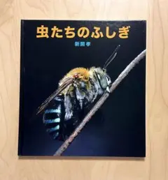 Item thumbnail for item c3e62439-675b-49cc-a605-f75736c195ab