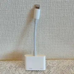 iPhoneHDMI変換アダプタ 2023年最新型 大画面 4K/1080P