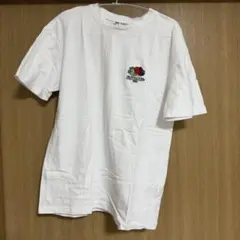 ZARA × FRUIT OF THE LOOM コラボ Tシャツのサムネイル