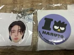 TREASURE TOUR [PULSE ON] ハルト