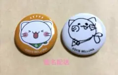埼玉西武ライオンズ　べるーにゃ　缶バッジ　5月18日配布　2個セット