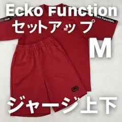 Ecko Function セットアップ 赤 M ジャージ上下（へ3