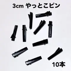 3cm 黒 ヘアクリップ やっとこピン 10本 ドール イーマリー ブライス