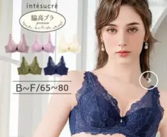 アンテシュクレ 脇高ブラPremium ブラジャー　f65