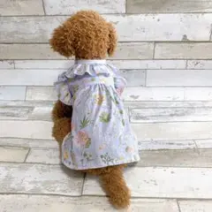 犬服✨リバティプリント フローラルイヴ 花柄 M フリルワンピース