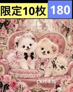 限定10枚！　ポメラニアン 犬 レアパネル生地　無くなり次第終了です
