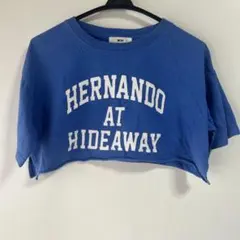 WEGO カレッジロゴ ショート丈Tシャツ ブルー Sサイズ カットオフのサムネイル
