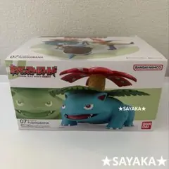 フシギバナ ポケモンスケールワールド カントー地方 未使用