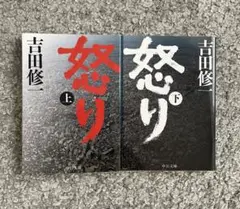 怒り 上下巻セット