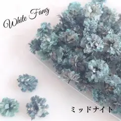 ミッドナイト✡かすみ草◆ドライフラワー　花材