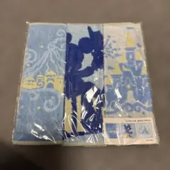 ディズニー⭐︎タオルセット