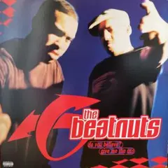 the Beatnuts Do You Believe? 12インチシングル
