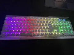 ROCCAT ゲーミングキーボード 白 日本語配列モデル 箱無し 有線USB接続