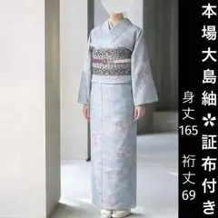 正絹✿ 本場大島紬　品質保証付き　しつけ付き 未使用美品　袷