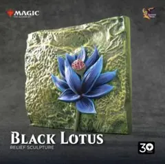 限定受注販売品　ブラック・ロータス　レリーフ　30th Anniversary Amazon.co.jp: MTG ブラックロータス レリーフ 30周年記念商品