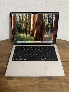 MacBook Pro M1 Pro メモリ32GB/SSD1TB 14インチ