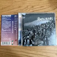 真心COVERS