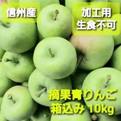 ［信州産］摘果青りんご(加工用・生食不可) 箱込み10kgのサムネイル
