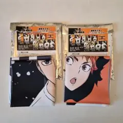 ハイキュー 合同練習会 ポスター 宮治 日向翔陽